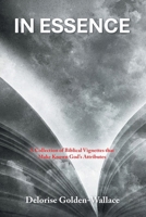 IN ESSENCE: A Collection of Biblical Vignettes that Make Known God’s Attributes B0DTXC5394 Book Cover