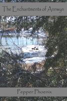 The Enchantments of Annwyn 0997561661 Book Cover