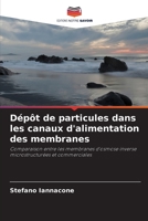 Dépôt de particules dans les canaux d'alimentation des membranes 6202372575 Book Cover