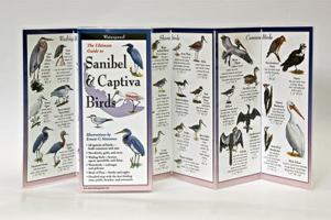 Sanibel & Captiva Birds: Folding Guide 1893770095 Book Cover
