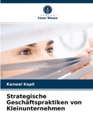 Strategische Geschäftspraktiken von Kleinunternehmen 620287290X Book Cover