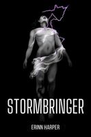 Stormbringer (Dreamwalker) 1737191474 Book Cover