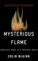 Mysterious Flame: Conscious Minds in a Material World 0465014232 Book Cover