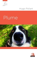 Plume (French Edition) 280610405X Book Cover