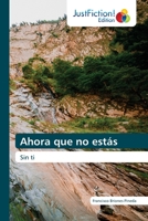 Ahora que no estás: Sin ti (Spanish Edition) B0CLG4MZH2 Book Cover