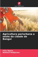 Agricultura periurbana a oeste da cidade de Bangui 6206110400 Book Cover