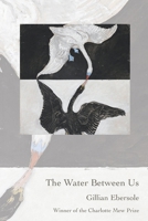 The Water Between Us 173353458X Book Cover