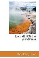 Wayside Notes in Scandinavia 1240931182 Book Cover