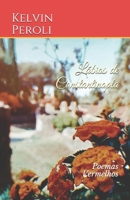Lábios de Constantinopla: Poemas Vermelhos (Portuguese Edition) B08HGTT11G Book Cover