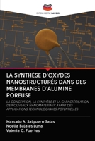 La Synthèse d'Oxydes Nanostructurés Dans Des Membranes d'Alumine Poreuse 6202715308 Book Cover