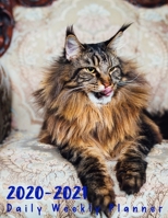 2 Year Planner 2020-2021 Daily Weekly Monthly: see it Bigger Large size Personal Appointment at a Glance Calendar Planner Spread Views 24 Months to Do ... - Dec 2021 Design Maine Coon Cats Lover Cover 1677225572 Book Cover