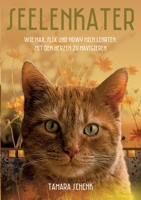 Seelenkater: Wie Max, Flix und Howy mich lehrten, mit dem Herzen zu navigieren (German Edition) 3347116410 Book Cover