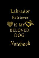 Labrador Retriever Is My Beloved Dog Notebook: Lined Journal,Diary Gift For Labrador Retriever Lovers. 1657206270 Book Cover