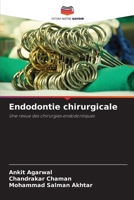 Chirurgische Endodontie (German Edition) 6207859650 Book Cover
