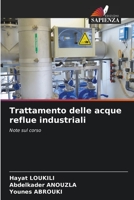Trattamento delle acque reflue industriali: Note sul corso 6204131303 Book Cover