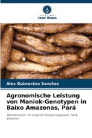 Agronomische Leistung von Maniok-Genotypen in Baixo Amazonas, Pará (German Edition) 6208581419 Book Cover