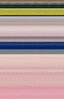 A Faithful Elf 098402820X Book Cover