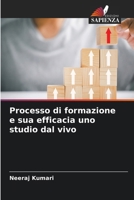 Processo di formazione e sua efficacia uno studio dal vivo (Italian Edition) 6209554121 Book Cover