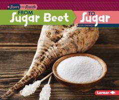 From Sugar Beet to Sugar 146776020X Book Cover