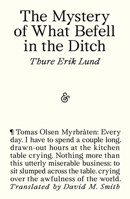 The Mystery of What Befell in the Ditch 1916751717 Book Cover