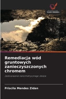Remediacja wód gruntowych zanieczyszczonych chromem 6209137997 Book Cover