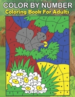 Color By Number Coloring Book For Adults: An Adult Color By Number Coloring Book of Love, Flowers, Candy, Butterflies, and ... Relief B09SP4KP37 Book Cover
