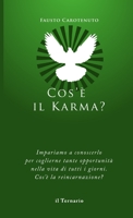 Cos'è il Karma? 8886860420 Book Cover