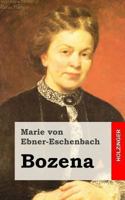 Bozena. Mit einem Nachwort von Rudolf Wolff. Literarische Tradition 1482380706 Book Cover