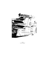 Walls - Challenges of a City: The Case of Baghdad B0BCHGX2YM Book Cover