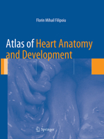 Atlas of Heart Anatomy and Development 1447153812 Book Cover
