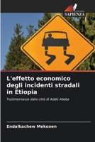 L'effetto economico degli incidenti stradali in Etiopia (Italian Edition) 620810890X Book Cover
