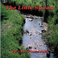 The Little Stream 1540892158 Book Cover