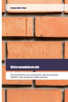 Bittermandelextrakt: Die Geschichte von zwei Seelen, die das höchste Gefühl in der untersten Hölle suchten 6202445076 Book Cover