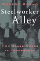 Steelworker Alley: How Class Works in Youngstown (ILR Press Books) 0801486009 Book Cover