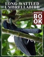 Long-wattled Umbrellabird Photo Book: A Unique Bird Illustrated Through 40 Stunning Images For Nature Enthusiasts B0DPRTJ6L1 Book Cover