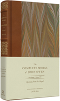 Apostasy from the Gospel (Puritan Paperbacks: Treasures of John Owen for Today's Readers) 1800401582 Book Cover