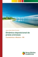 Dinâmica deposicional de praias arenosas 6202048751 Book Cover