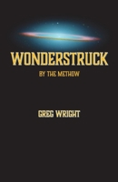 Wonderstruck by The Methow: because the universe wants us to be surprised by what comes next B0F22VLVTV Book Cover
