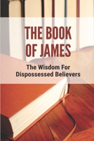 The Book Of James: The Wisdom For Dispossessed Believers: Letter Of James Chapter 1 B099C2MYMJ Book Cover