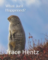 What Just Happened? 0578867257 Book Cover