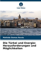 Die Türkei und Energie: Herausforderungen und Möglichkeiten (German Edition) 6208761271 Book Cover