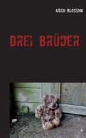 Drei Brüder 3753481912 Book Cover