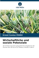 Wirtschaftliche und soziale Potenziale (German Edition) 620829651X Book Cover