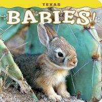 Texas Babies! 1560376813 Book Cover