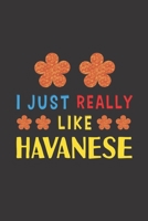 I Just Really Like Havanese: Dog Training Logbook For Peoples Who Loves Their Havanese Dog B083XX4JBV Book Cover