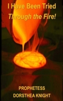 I Have Been Tried Through The Fire B0FP1Z6YLL Book Cover