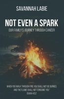 Not Even a Spark: A Family's Journey Through Cancer B0F31C8PJ4 Book Cover