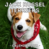 Jack Russel Terriers: 2021 Calendar, Cute Gift Idea For Jack Russel Terrier Lovers Or Owners Men And Women B08RBSF3Z8 Book Cover