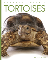 Tortoises 089812929X Book Cover