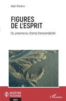 Figures de l'esprit: Du pneuma au champ transcendantal (Ouverture Philosophique) (French Edition) 2343233950 Book Cover